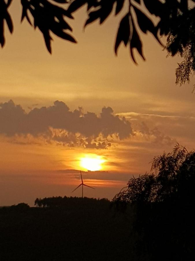 Casinha De Campo- Quintinha Dos Cavalos- Arruda Dos Vinhos Exteriér fotografie