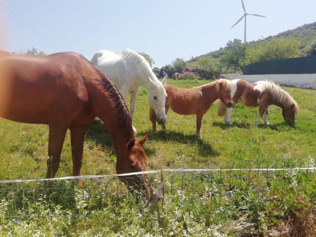 Casinha De Campo- Quintinha Dos Cavalos- Arruda Dos Vinhos Exteriér fotografie