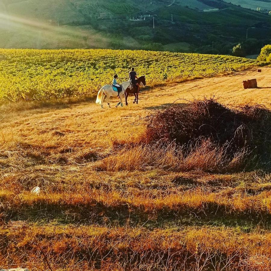 Casinha De Campo- Quintinha Dos Cavalos- Arruda Dos Vinhos Exteriér fotografie